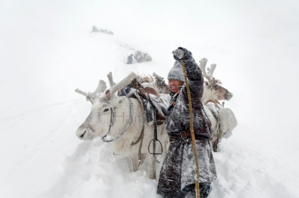 reindeer-people-hamid-sardar-afkhami-62